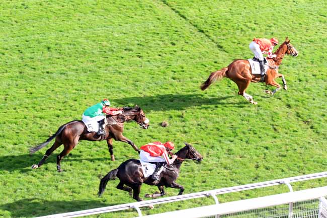 Photo d'arrivée de la course pmu PRIX ISOPANI à AUTEUIL le Mardi 3 octobre 2017