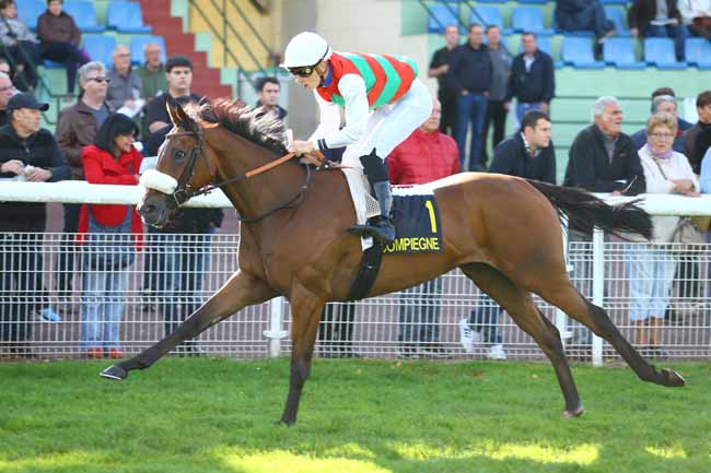 Photo d'arrivée de la course pmu PRIX DE SAINTE-PERINE à COMPIEGNE le Mardi 3 octobre 2017