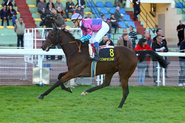 Photo d'arrivée de la course pmu PRIX DES JUNIORS à COMPIEGNE le Mardi 3 octobre 2017