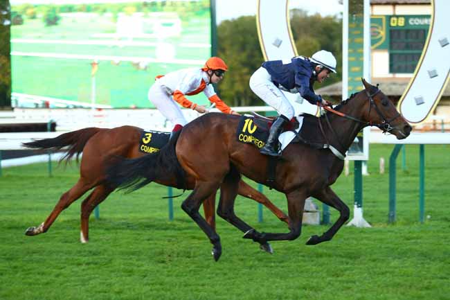 Photo d'arrivée de la course pmu PRIX ANNIE DONGUY à COMPIEGNE le Mardi 3 octobre 2017