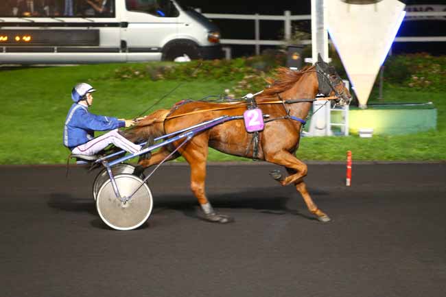 Photo d'arrivée de la course pmu PRIX CHRYSEIS à PARIS-VINCENNES le Mardi 3 octobre 2017