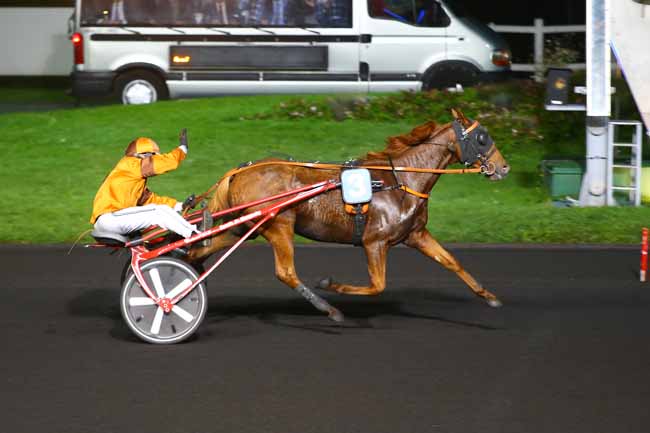 Photo d'arrivée de la course pmu PRIX CONSTANTIA à PARIS-VINCENNES le Mardi 3 octobre 2017