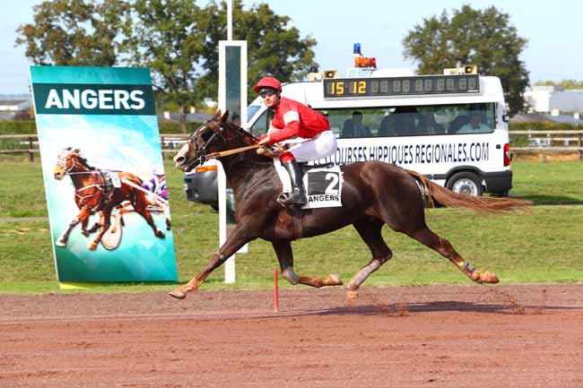 Photo d'arrivée de la course pmu PRIX SCIPION DU GOUTIER à ANGERS le Mercredi 4 octobre 2017