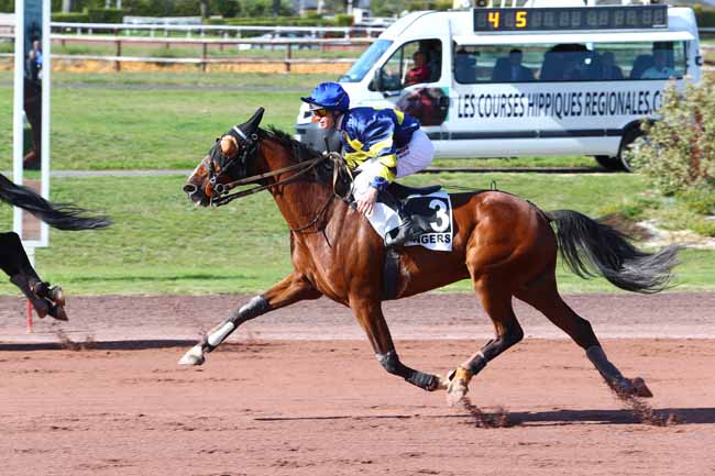 Photo d'arrivée de la course pmu PRIX TALICIA BELLA à ANGERS le Mercredi 4 octobre 2017