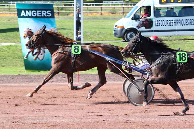 Photo d'arrivée de la course pmu PRIX SPEEDY BLUE à ANGERS le Mercredi 4 octobre 2017
