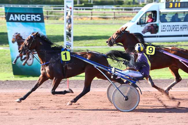 Photo d'arrivée de la course pmu PRIX ROYAL DREAM à ANGERS le Mercredi 4 octobre 2017