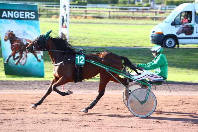Photo d'arrivée de la course pmu PRIX BOLD EAGLE (GR B) à ANGERS le Mercredi 4 octobre 2017