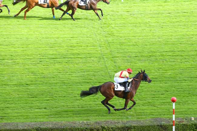 Photo d'arrivée de la course pmu PRIX MARCEL DELZONS à SAINT-CLOUD le Mercredi 4 octobre 2017