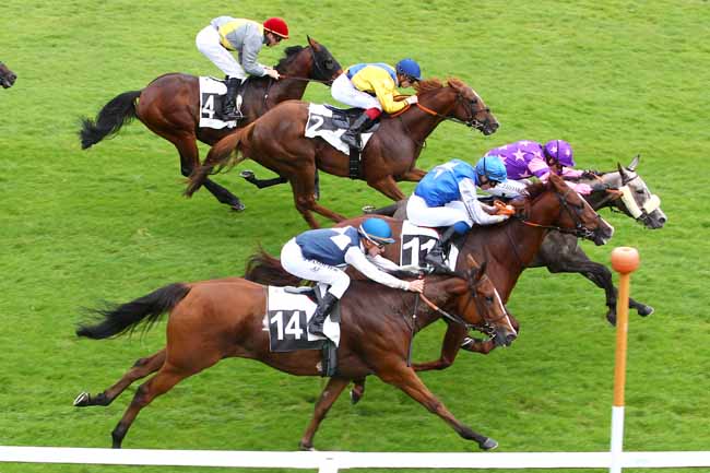 Photo d'arrivée de la course pmu PRIX ROLAND FOUGEDOIRE à FONTAINEBLEAU le Jeudi 5 octobre 2017