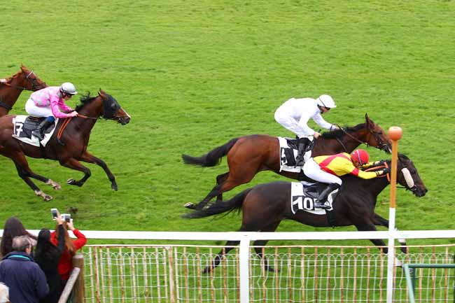 Photo d'arrivée de la course pmu PRIX DU TREMBLAY à FONTAINEBLEAU le Jeudi 5 octobre 2017