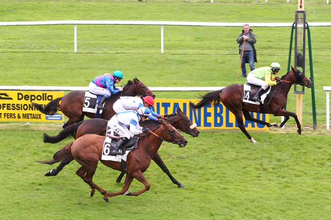 Photo d'arrivée de la course pmu PRIX ANNE FEVRE à FONTAINEBLEAU le Jeudi 5 octobre 2017