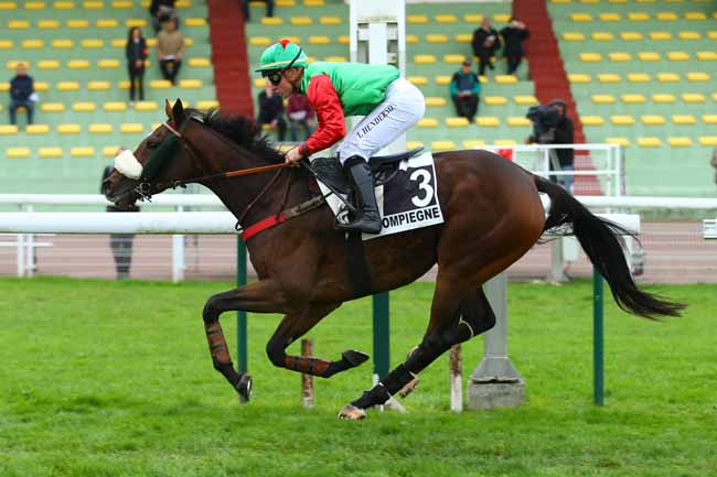 Photo d'arrivée de la course pmu PRIX DE BIARRITZ à COMPIEGNE le Jeudi 5 octobre 2017