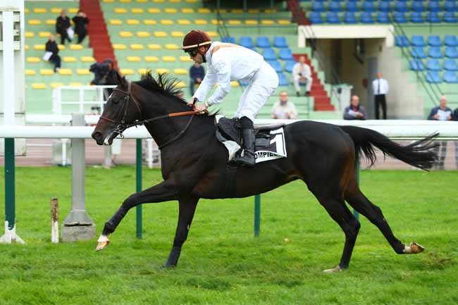 Photo d'arrivée de la course pmu PRIX DE LA HAGUE à COMPIEGNE le Jeudi 5 octobre 2017