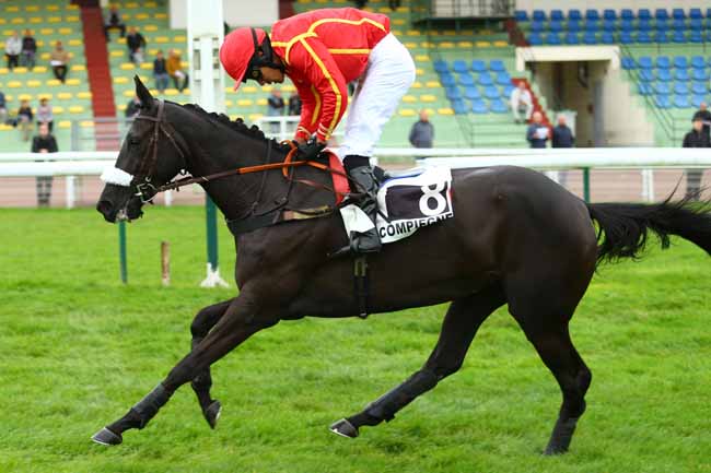 Photo d'arrivée de la course pmu PRIX LOUIS CHAMPION à COMPIEGNE le Jeudi 5 octobre 2017