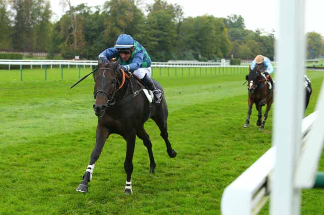 Photo d'arrivée de la course pmu PRIX DE LA GASCOGNE à COMPIEGNE le Jeudi 5 octobre 2017