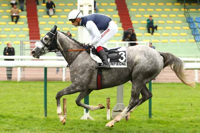 Photo d'arrivée de la course pmu PRIX DOMINIQUE SARTINI à COMPIEGNE le Jeudi 5 octobre 2017