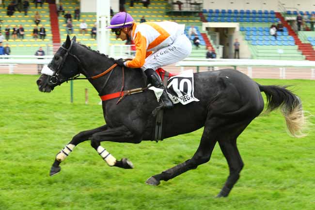 Photo d'arrivée de la course pmu PRIX BAY ARCHER à COMPIEGNE le Jeudi 5 octobre 2017