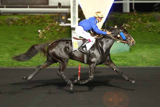 Photo d'arrivée de la course pmu PRIX HONORIA à PARIS-VINCENNES le Vendredi 6 octobre 2017