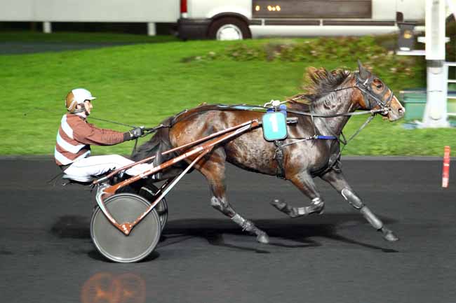 Photo d'arrivée de la course pmu PRIX DIONE à PARIS-VINCENNES le Vendredi 6 octobre 2017