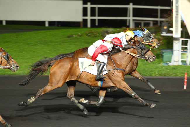 Photo d'arrivée de la course pmu PRIX ELIANE DE BELLAIGUE à PARIS-VINCENNES le Vendredi 6 octobre 2017