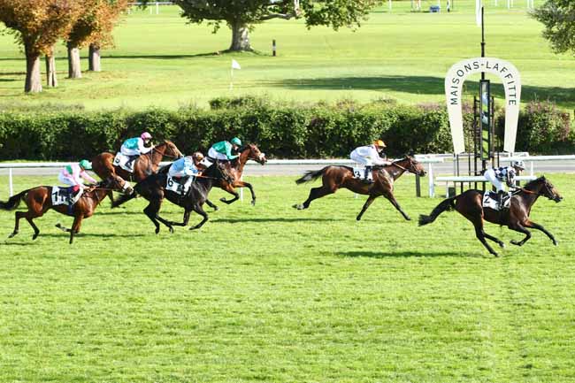 Photo d'arrivée de la course pmu PRIX HAUBAN à MAISONS-LAFFITTE le Vendredi 6 octobre 2017