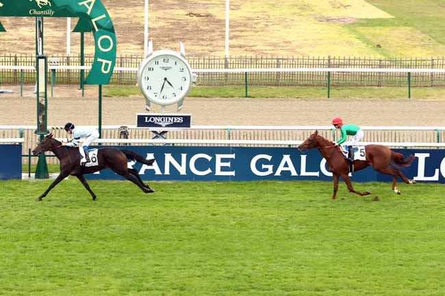 Photo d'arrivée de la course pmu PRIX DE CONDE à CHANTILLY le Samedi 7 octobre 2017