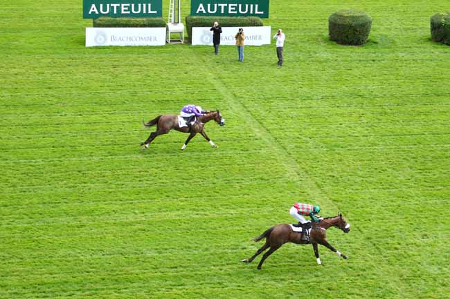 Photo d'arrivée de la course pmu PRIX GEORGES DE TALHOUET-ROY - ROYAL PALM BEACHCOMBER à AUTEUIL le Dimanche 8 octobre 2017