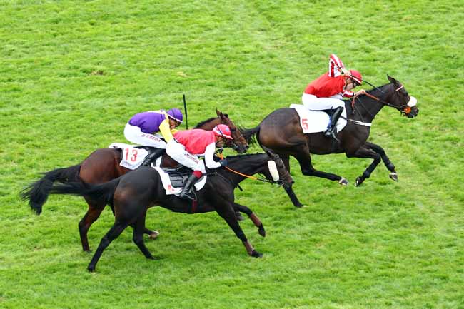 Photo d'arrivée de la course pmu PRIX PAUL'S CRAY - MTPA OFFICE DU TOURISME DE L'ILE MAURICE à AUTEUIL le Dimanche 8 octobre 2017