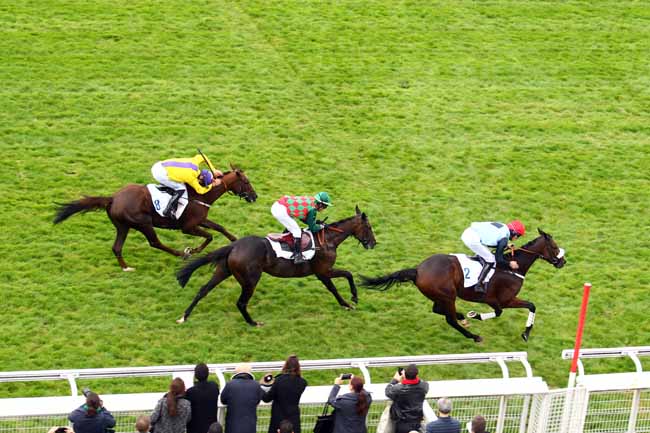 Photo d'arrivée de la course pmu PRIX CARMARTHEN - PARADIS BEACHCOMBER à AUTEUIL le Dimanche 8 octobre 2017