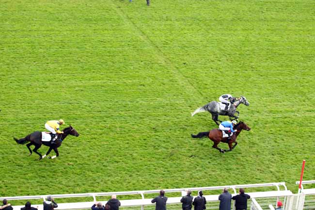 Photo d'arrivée de la course pmu PRIX JACK BARBE - SHANDRANI BEACHCOMBER à AUTEUIL le Dimanche 8 octobre 2017