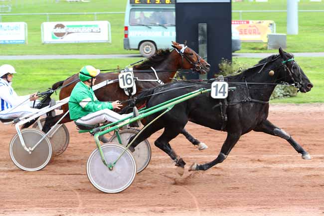 Photo d'arrivée de la course pmu PRIX CARREFOUR FEURS à FEURS le Lundi 9 octobre 2017