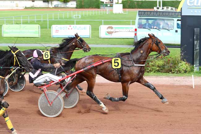 Photo d'arrivée de la course pmu PRIX BM ENVIRONNEMENT (GR A) à FEURS le Lundi 9 octobre 2017