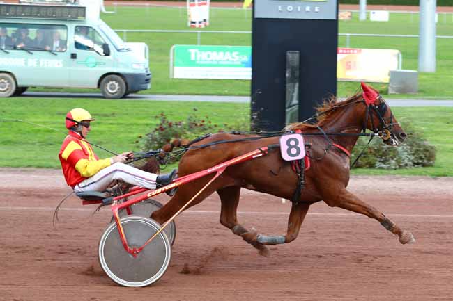 Photo d'arrivée de la course pmu PRIX MICHOLET METALLERIE à FEURS le Lundi 9 octobre 2017