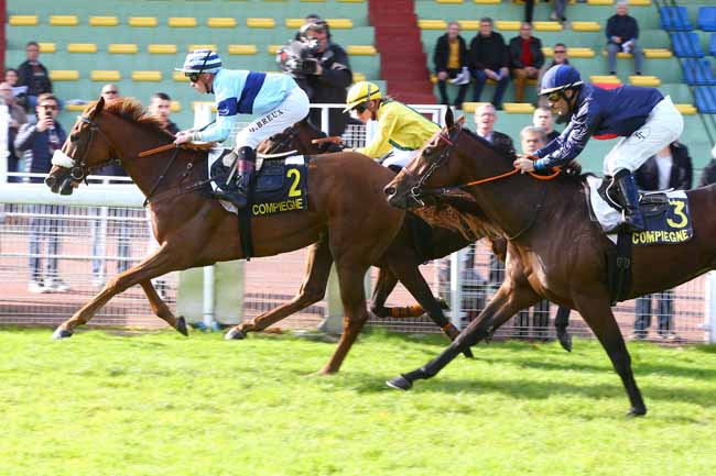 Photo d'arrivée de la course pmu PRIX DU BRAS D'OR à COMPIEGNE le Lundi 9 octobre 2017