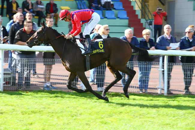 Photo d'arrivée de la course pmu PRIX DE BETHANCOURT-EN-VALOIS à COMPIEGNE le Lundi 9 octobre 2017