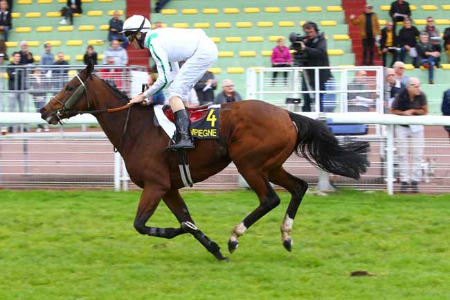 Photo d'arrivée de la course pmu PRIX DES GENTILHOMMES à COMPIEGNE le Lundi 9 octobre 2017