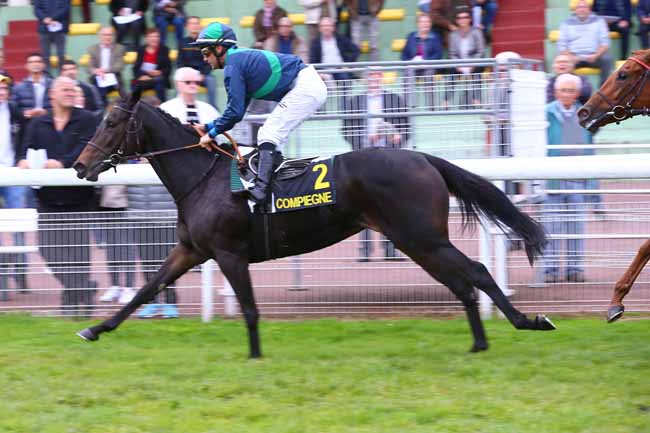 Photo d'arrivée de la course pmu PRIX DES HAMADRYADES à COMPIEGNE le Lundi 9 octobre 2017
