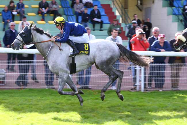 Photo d'arrivée de la course pmu PRIX DES FUTAIES à COMPIEGNE le Lundi 9 octobre 2017