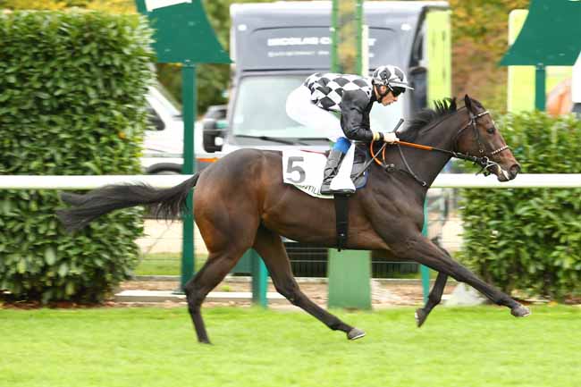 Photo d'arrivée de la course pmu PRIX DES TERROIRS DE FRANCE à CHANTILLY le Mercredi 11 octobre 2017