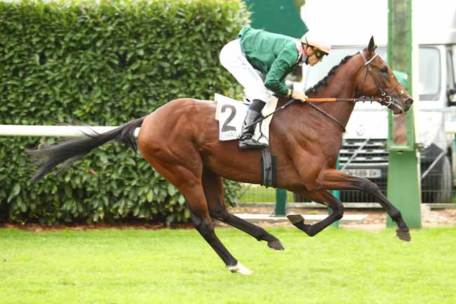 Photo d'arrivée de la course pmu PRIX DE LA GALERIE DES CERFS à CHANTILLY le Mercredi 11 octobre 2017