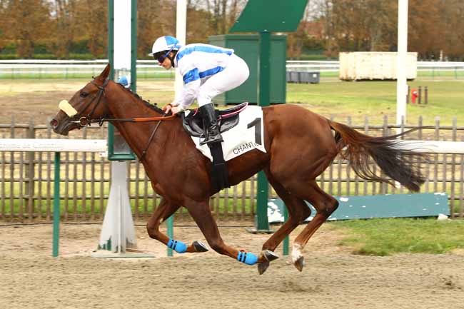 Photo d'arrivée de la course pmu PRIX DE L'ALLEE DUBAR à CHANTILLY le Mercredi 11 octobre 2017
