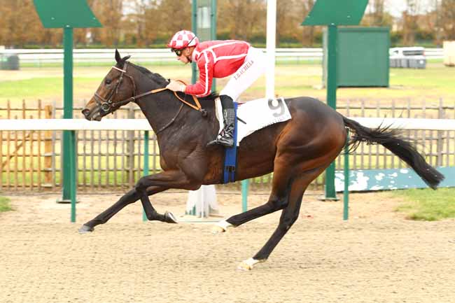 Photo d'arrivée de la course pmu PRIX DU CARRE DE DRESSAGE à CHANTILLY le Mercredi 11 octobre 2017