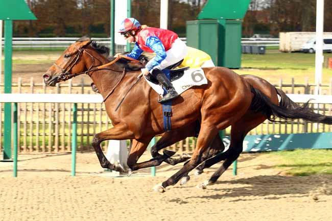 Photo d'arrivée de la course pmu PRIX DE L'ALLEE DU MAIL à CHANTILLY le Mercredi 11 octobre 2017