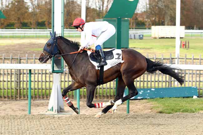 Photo d'arrivée de la course pmu PRIX DU ROND DE DEBOURRAGE à CHANTILLY le Mercredi 11 octobre 2017