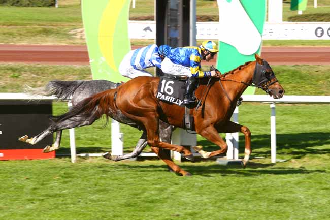 Photo d'arrivée de la course pmu PRIX DE LA FEDERATION DES COURSES DU CENTRE-EST à LYON-PARILLY le Jeudi 12 octobre 2017