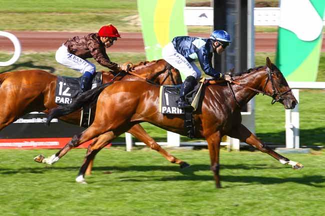 Photo d'arrivée de la course pmu PRIX DES CAMELIAS à LYON-PARILLY le Jeudi 12 octobre 2017