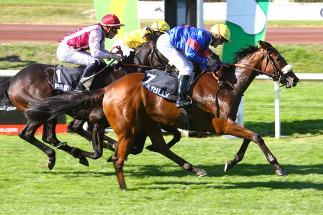 Photo d'arrivée de la course pmu PRIX DES ANEMONES à LYON-PARILLY le Jeudi 12 octobre 2017