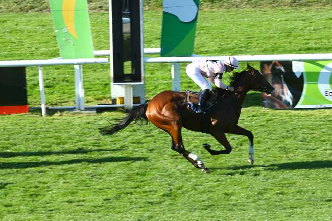 Photo d'arrivée de la course pmu PRIX DE BELLECOUR à LYON-PARILLY le Jeudi 12 octobre 2017