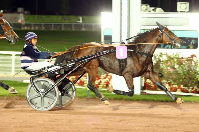 Photo d'arrivée de la course pmu PRIX DU PONT DE LA TOURNELLE à ENGHIEN le Jeudi 12 octobre 2017