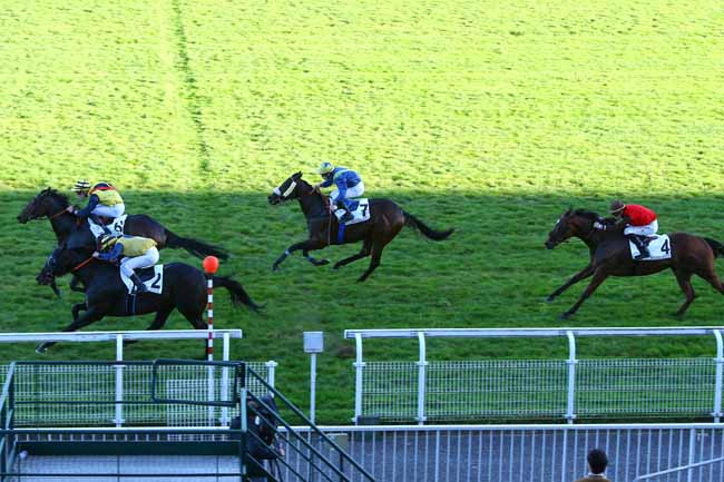 Photo d'arrivée de la course pmu PRIX DE RODEZ à MAISONS-LAFFITTE le Vendredi 13 octobre 2017
